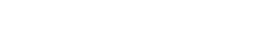 統域領導力發展